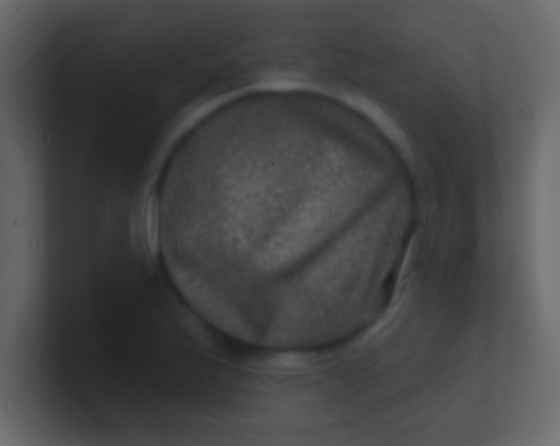 X0000100841175200807070927