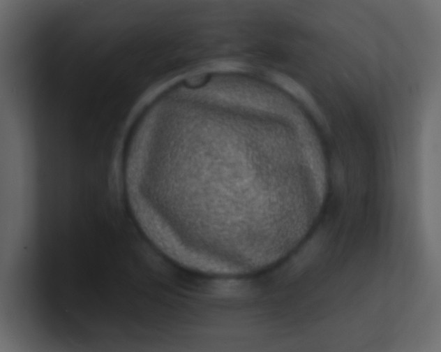 X0000100841176200807070927