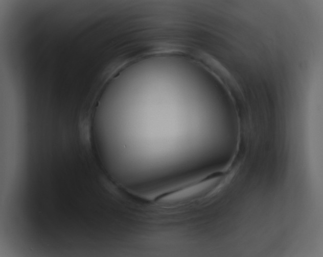 X0000100841177200807070927