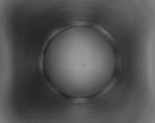 X0000100841178200807070927