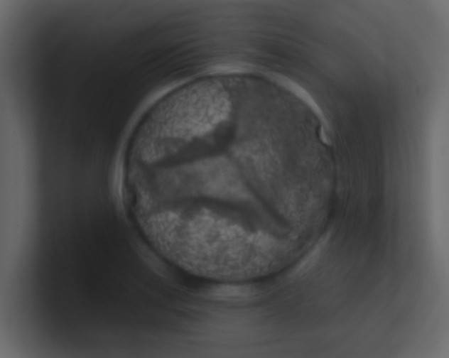 X0000100841179200807070927