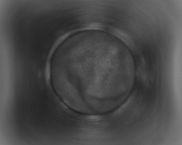 X0000100841180200807070927