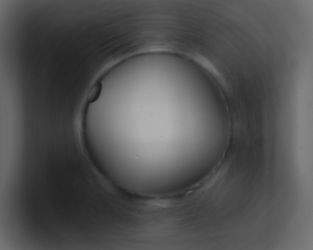 X0000100841181200807070927