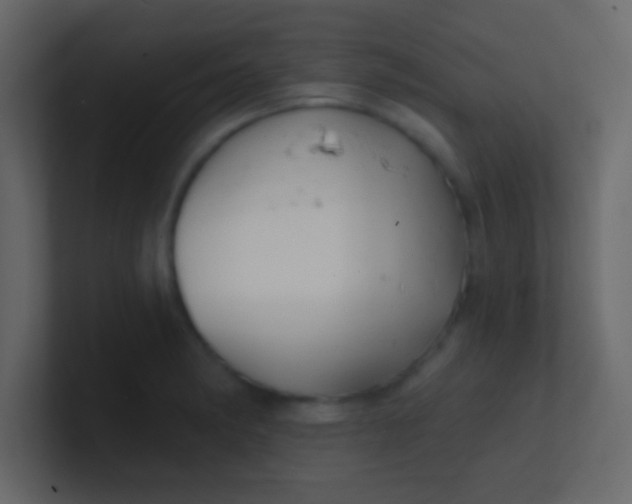 X0000100841182200807070927