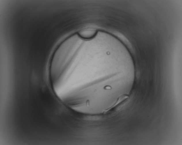 X0000100841183200807070927