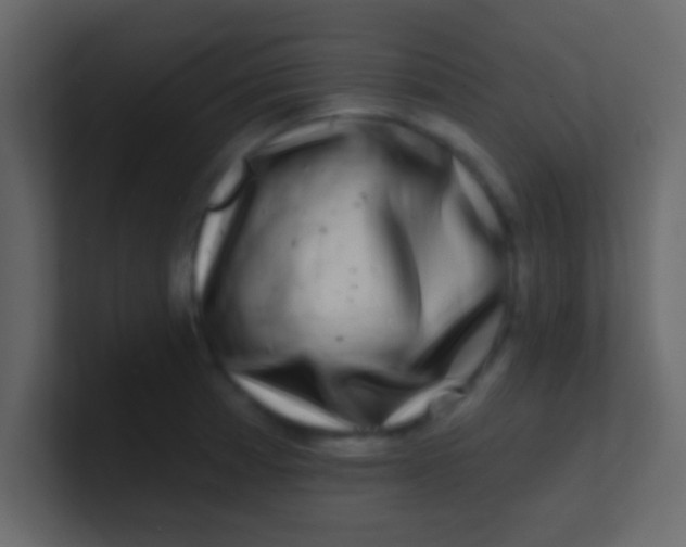 X0000100841185200807070927