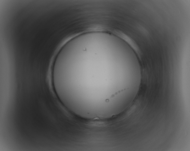 X0000100841187200807070927