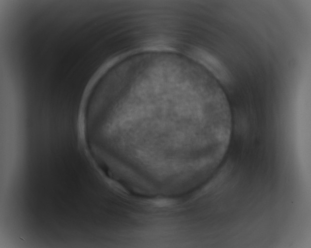 X0000100841188200807070927