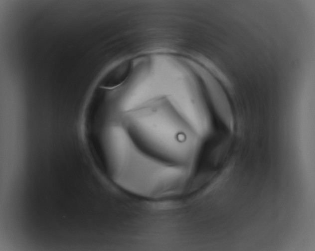 X0000100841189200807070927