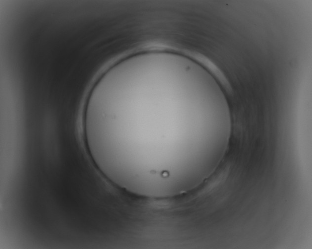 X0000100841191200807070927