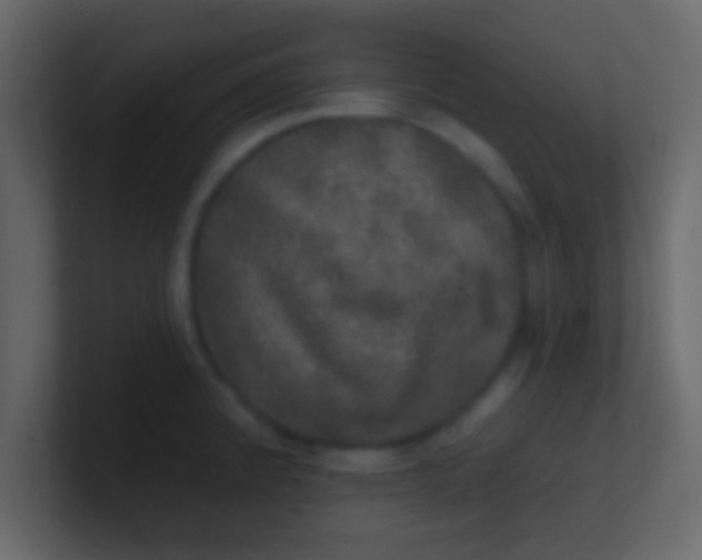 X0000100841192200807070927