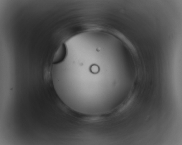 X0000100841193200807070927