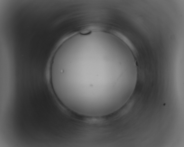 X0000100841195200807070926