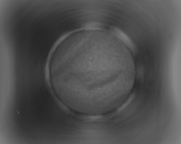 X0000100841196200807070926