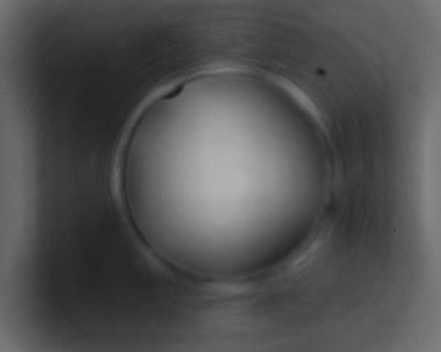 X0000100841197200807070926