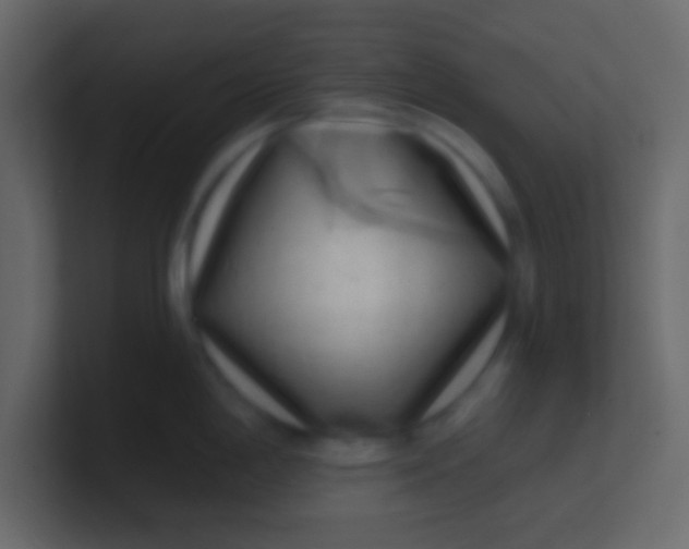 X0000100841198200807070926