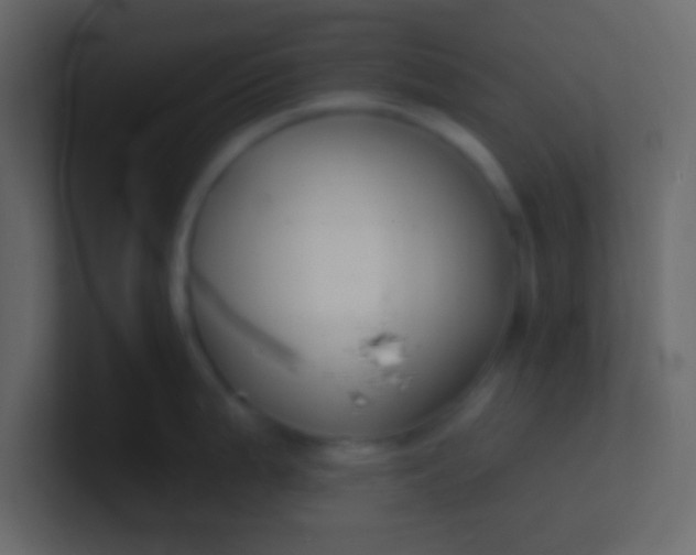 X0000100841199200807070926