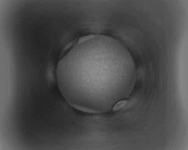 X0000100841202200807070926