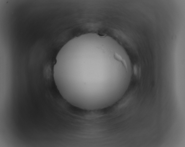 X0000100841203200807070926