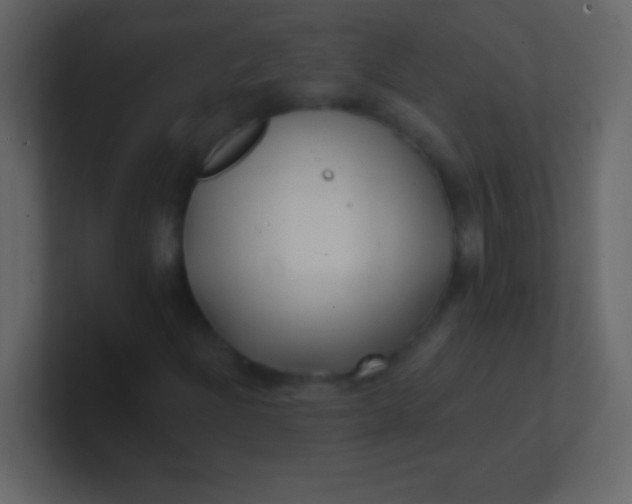 X0000100841204200807070926