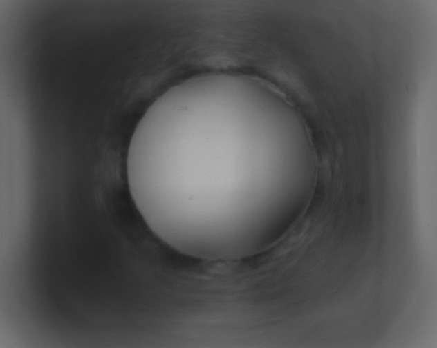 X0000100841205200807070926