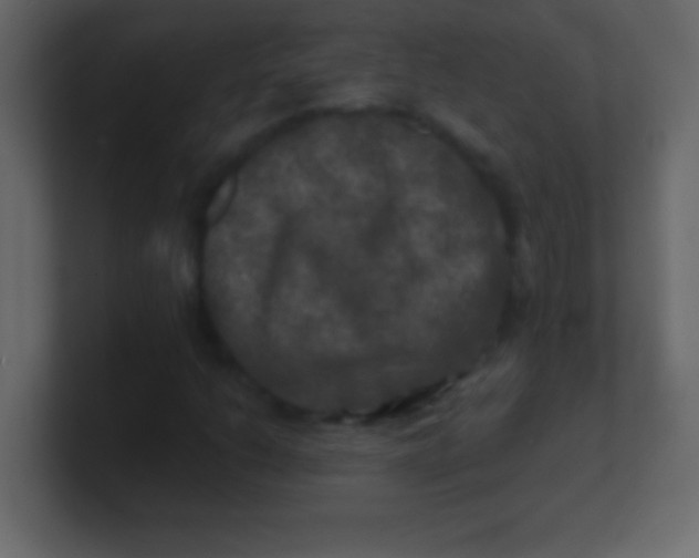 X0000100841206200807070926