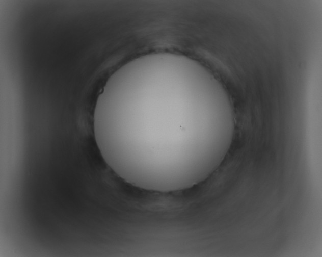 X0000100841207200807070926