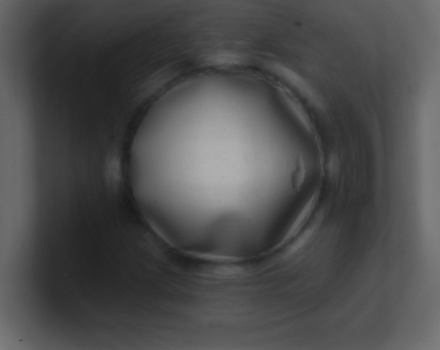 X0000100841209200807070926