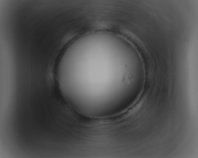 X0000100841210200807070926