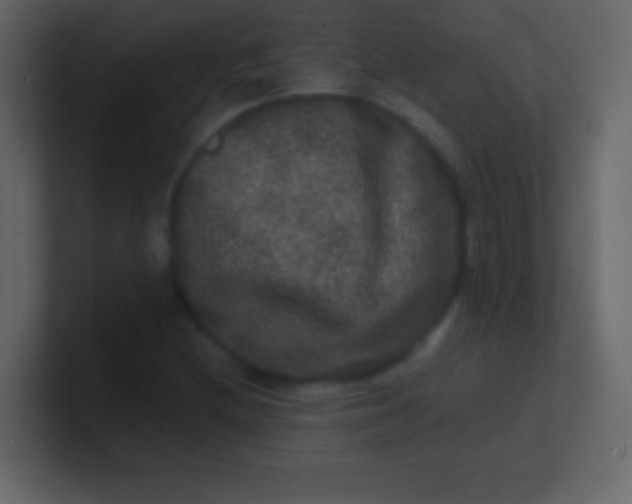 X0000100841212200807070926