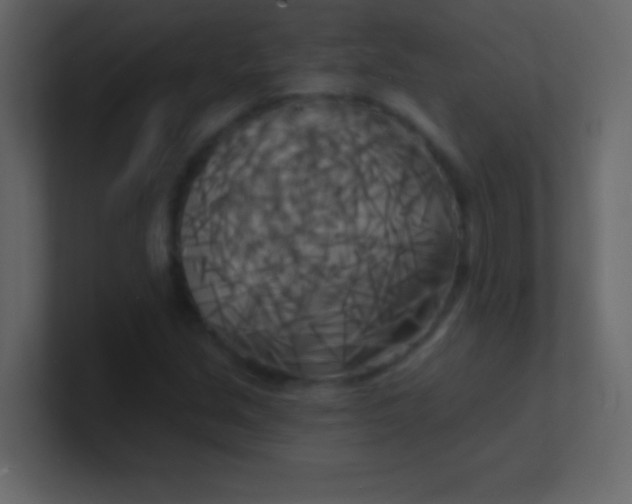 X0000100841213200807070926