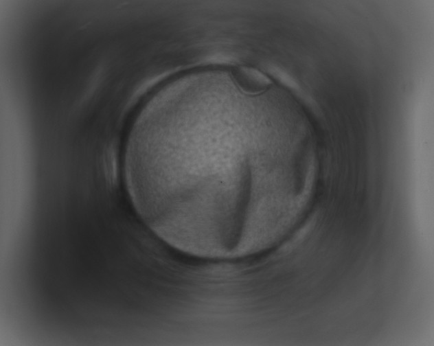 X0000100841214200807070926