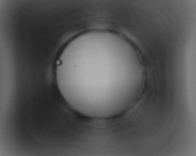 X0000100841215200807070926