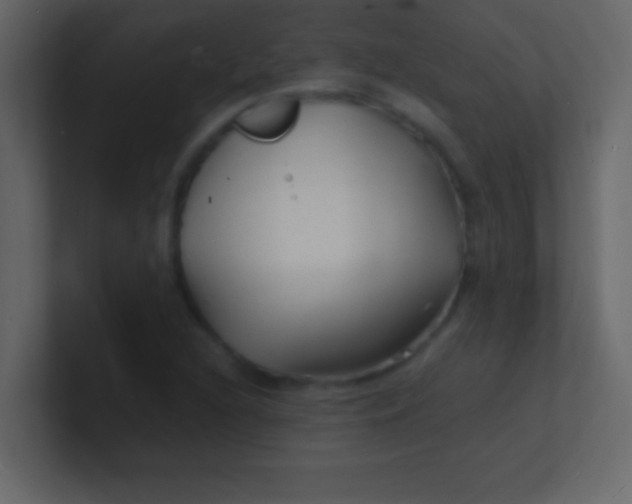 X0000100841216200807070926