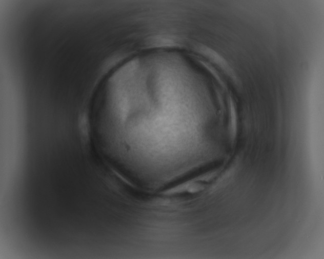 X0000100841218200807070926