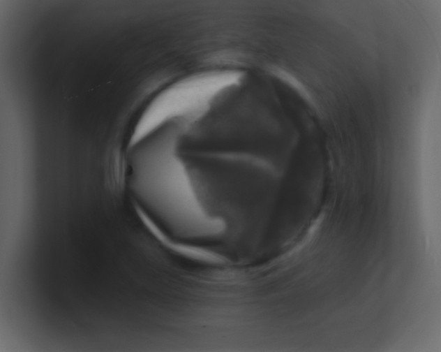 X0000100841219200807070926