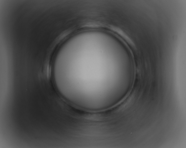 X0000100841221200807070926