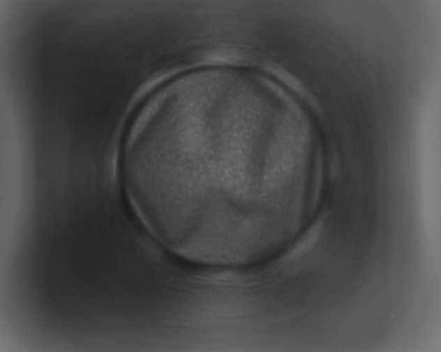 X0000100841222200807070926