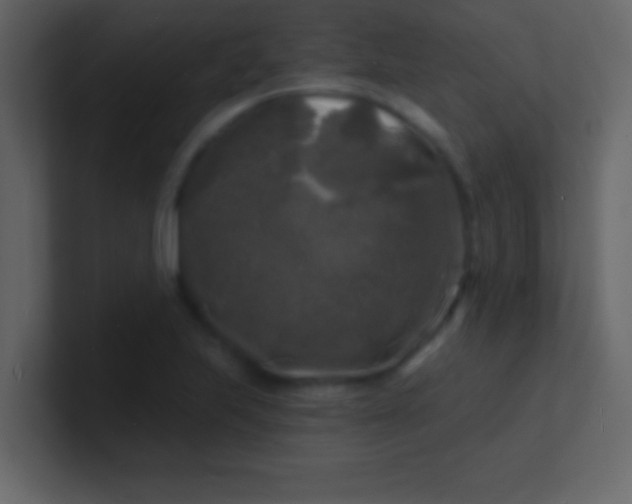 X0000100841223200807070926