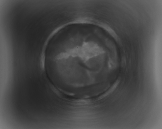 X0000100841224200807070926