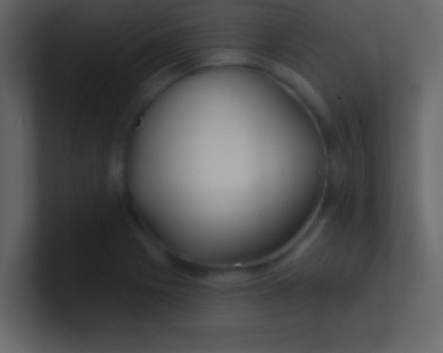 X0000100841225200807070926