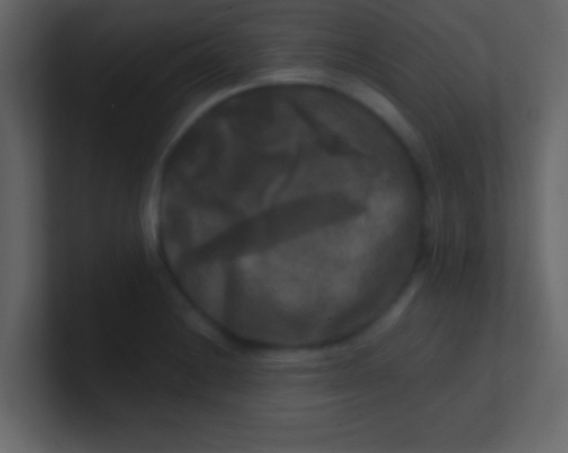 X0000100841228200807070926