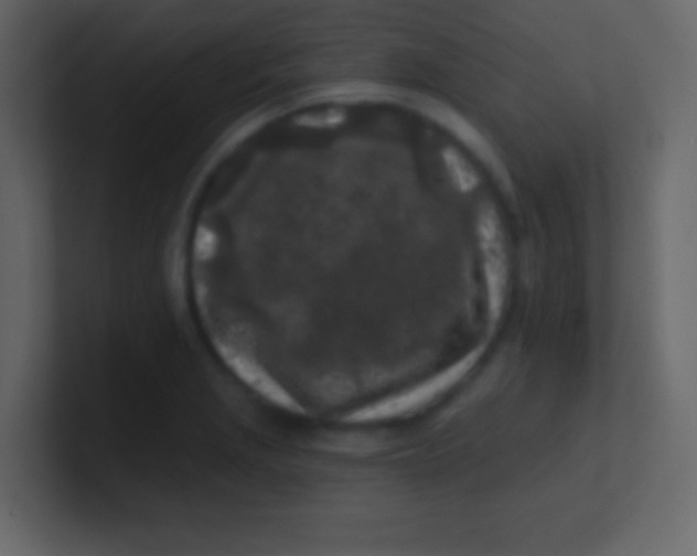 X0000100841229200807070926