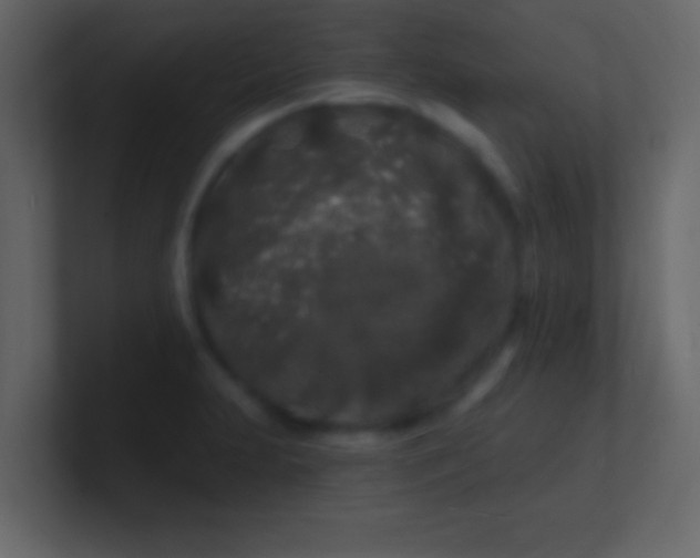 X0000100841231200807070926