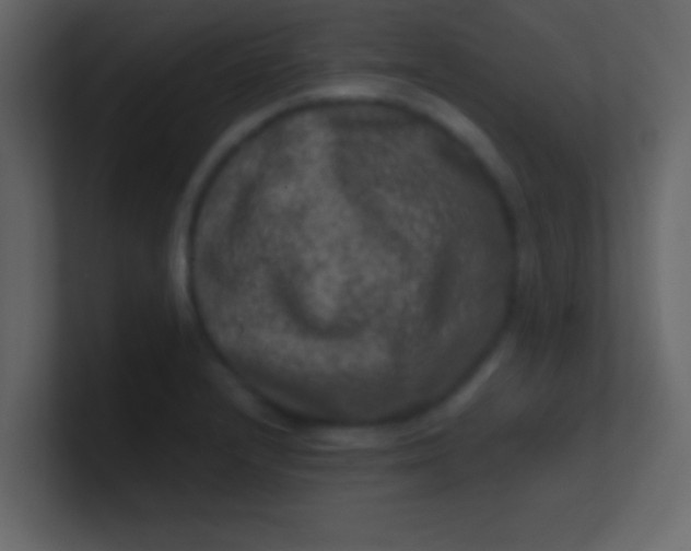 X0000100841232200807070926