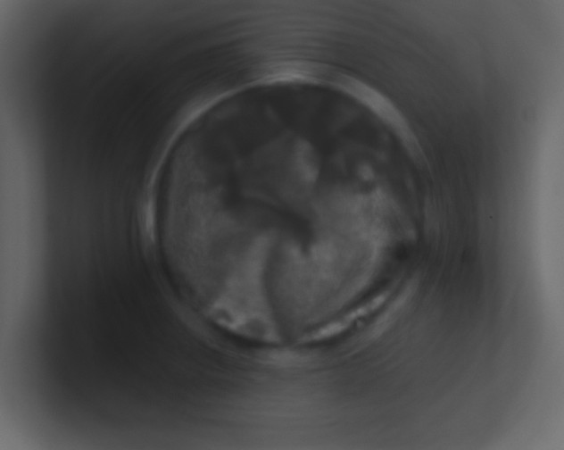 X0000100841234200807070926