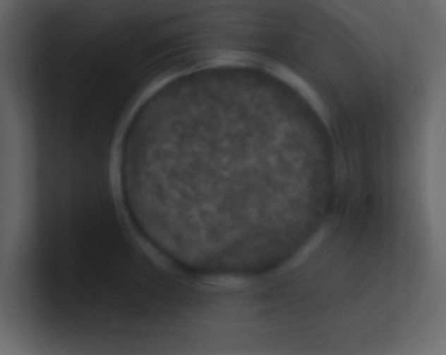 X0000100841235200807070926