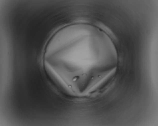 X0000100841236200807070926