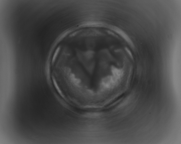 X0000100841237200807070926