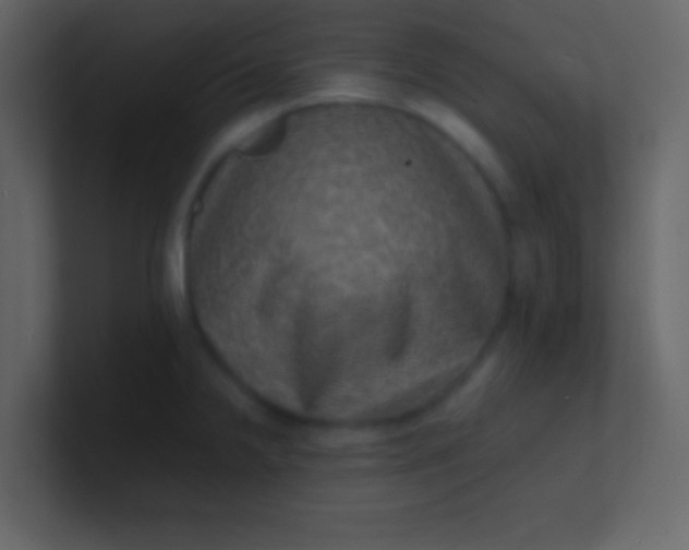 X0000100841238200807070926